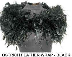 OSTRICH BLACK FEATHER WRAP.jpg (52330 bytes)