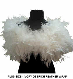 OSTRICH PLUS SIZE IVORY FEATHER WRAP.jpg (31400 bytes)