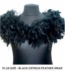 PLUS OSTRICH FEATHER WRAP  BLACK new.jpg (41786 bytes)