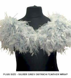 PLUS OSTRICH FEATHER WRAP  SILVER GREY new.jpg (37036 bytes)