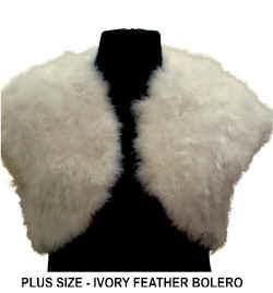 PLUS SIZE IVORY FEATHER BOLERO .jpg (25950 bytes)