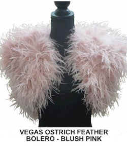 VEGAS OSTRICH FEATHER BOLERO. BLUSH PINK..jpg (31424 bytes)