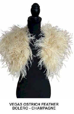VEGAS OSTRICH FEATHER BOLERO  CHAMPAGNE.jpg (22998 bytes)